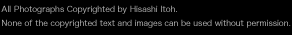 copyright Hisashi Itoh �ɓ��Ђ���