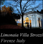 Professional photo exhibition of Hisashi Itoh in Italy limonaia Villa Strozzi 2013